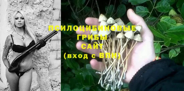 хмурый Армянск