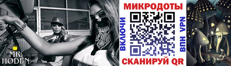 Псилоцибиновые грибы GOLDEN TEACHER  Белебей 
